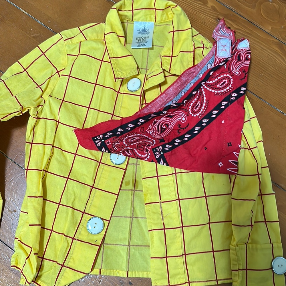 Woody shirt 🤠